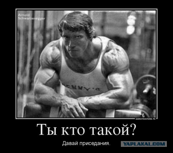 Улыбнуло