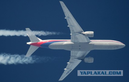 На Украине рухнул Боинг-777 малайзийских авиалиний