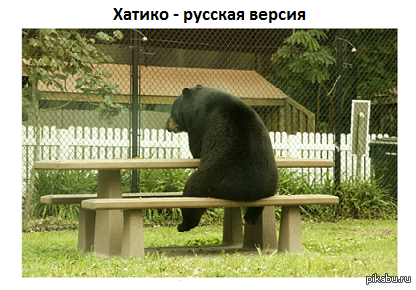 Немного позитива на пятницу