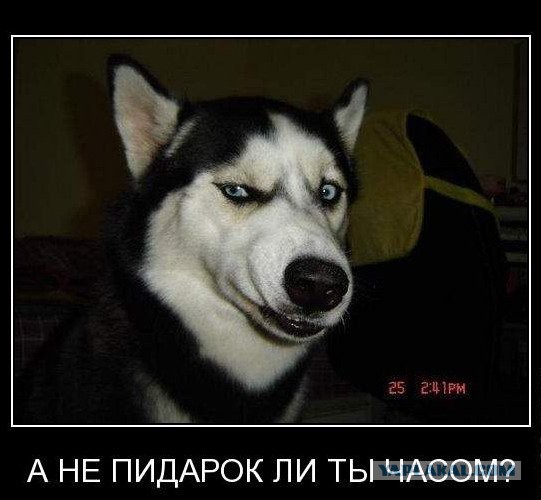 В турецком отеле подрались русские и украинцы