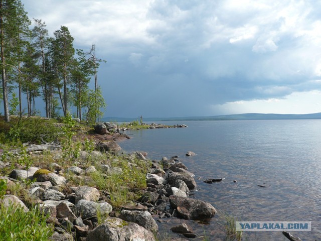 Две недели на Иовском водохранилище. Соколозеро.