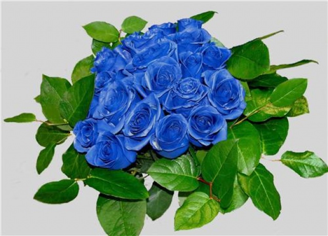 15 фактов о сиськах