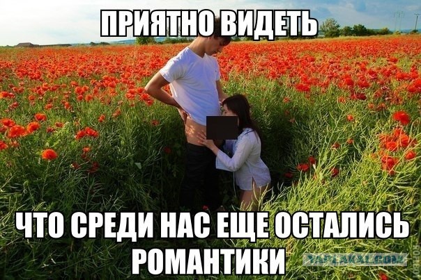 Свежие картинки из сети