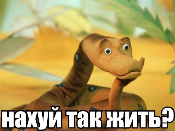 Свежий "Вестник социальных сетей"