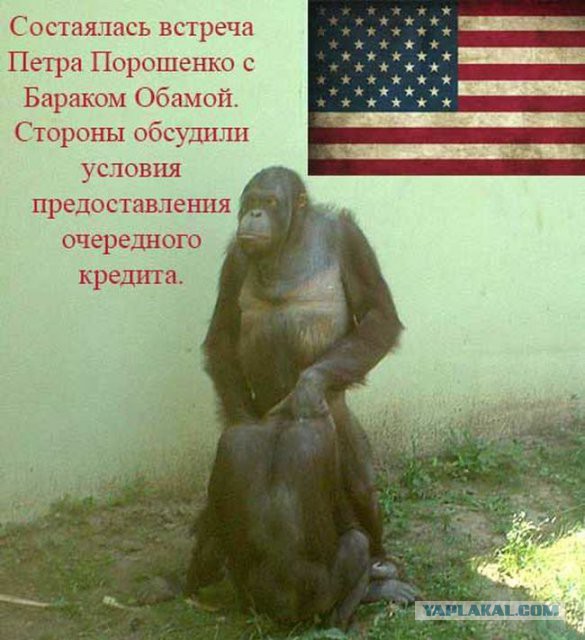 Картинки с буквами