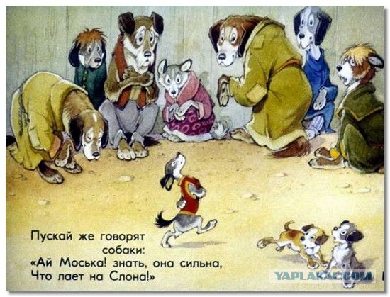 Болгария, ты в своем уме.