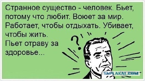 Визуализируем свои ники!