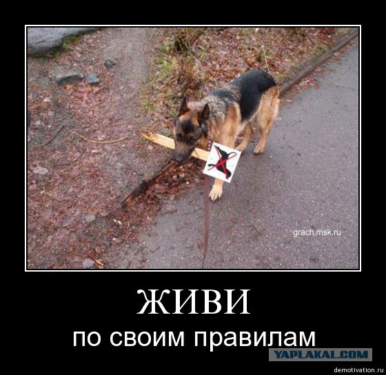 Вы хотите "демов"? часть 2-я