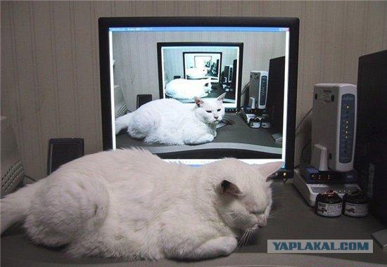 Занимательная рекурсия