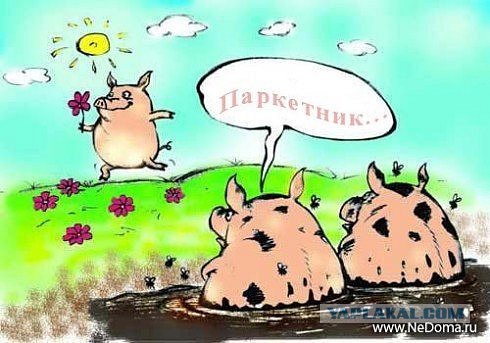 Чистый джип – позор владельца!