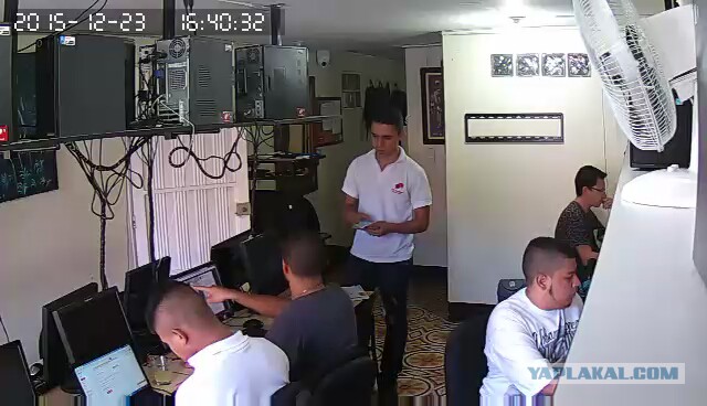 За что я люблю китайцев
