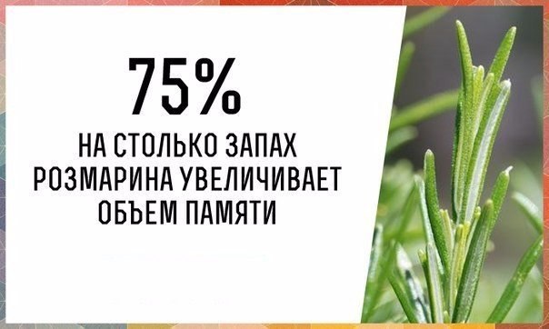 Интересные Научные Гифки и Картинки 6