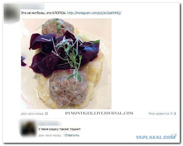 Ужасы и приколы из соцсетей 18+