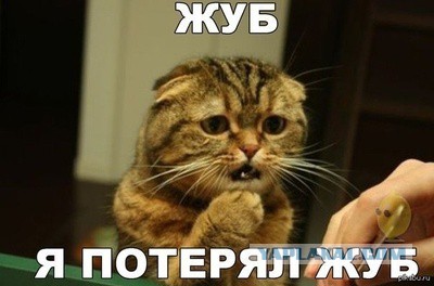 Подборка картинок 04.03.16