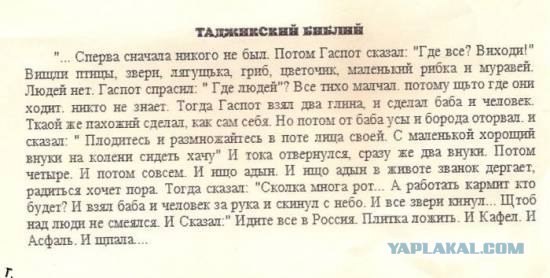 Как таджики-мажоры ментов обманули