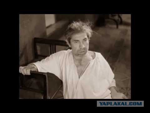 Дарья Донцова публично извинилась перед RuTracker