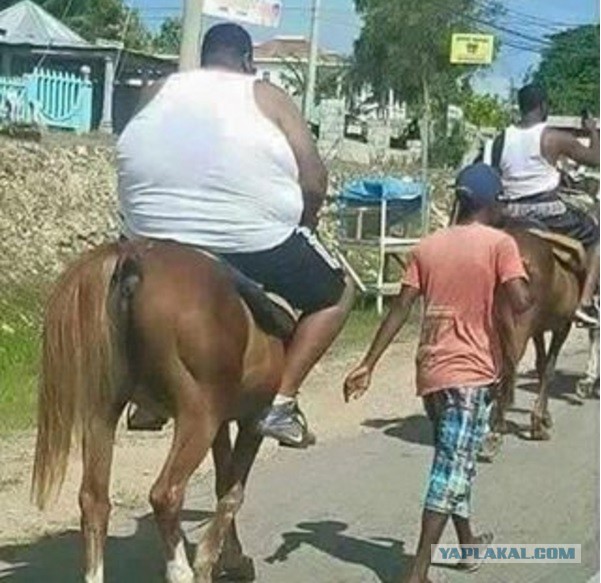 Ужасы и приколы из соцсетей