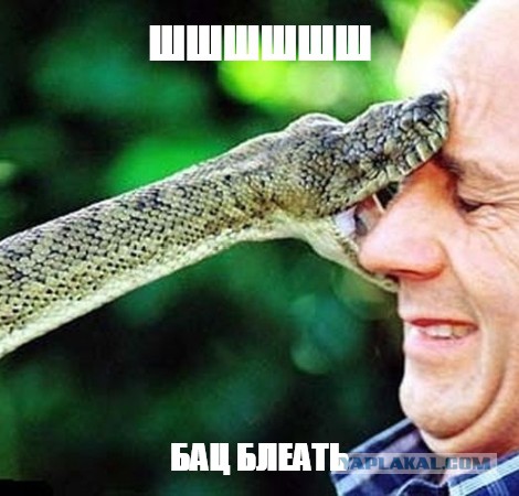 За секунду до...