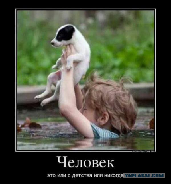 "Одна рука, одна нога и один хороший друг!"