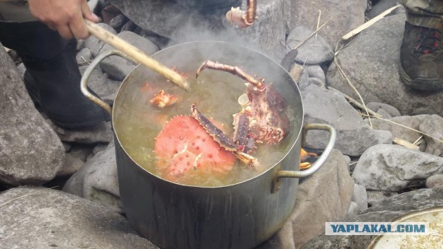 Советская Гавань. Побережье Татарского пролива - конец материка