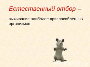 Девушка пошутила над парнем, что тому слабо с моста прыгнуть