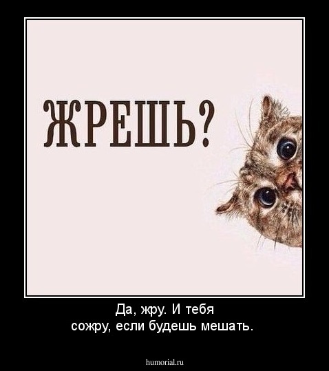 Чё хомячишь? А мне?
