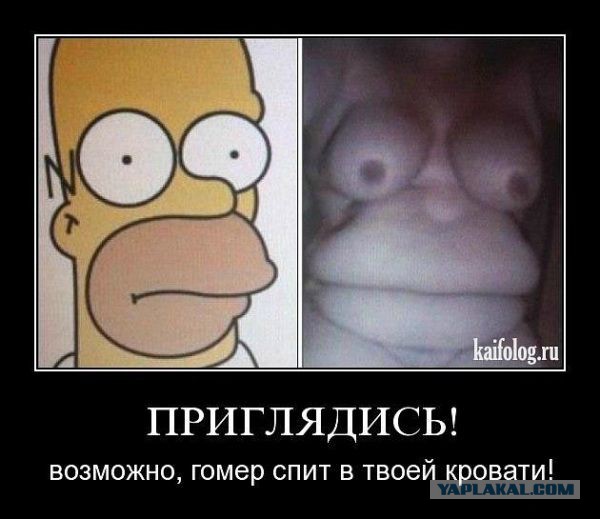 Немножко картинок