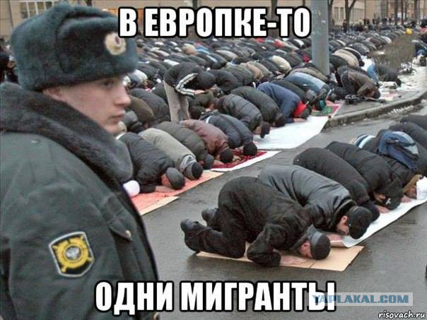 «Пожалуйста, пришлите российскую полицию в Париж. Он превратился в гетто и полон мигрантов, мусульман и негров»