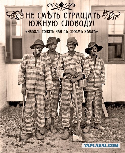 Пятничная деградация! Ура, товарищи!