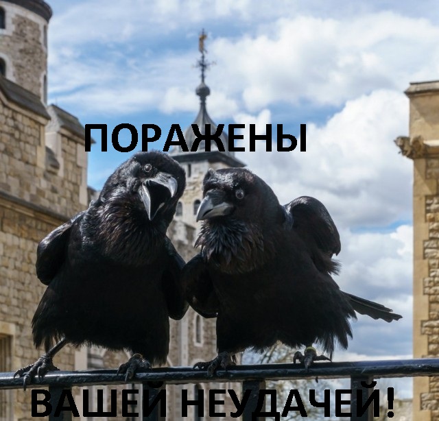 Подборка интересных и веселых картинок
