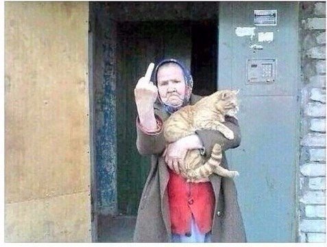 Смешные картинки