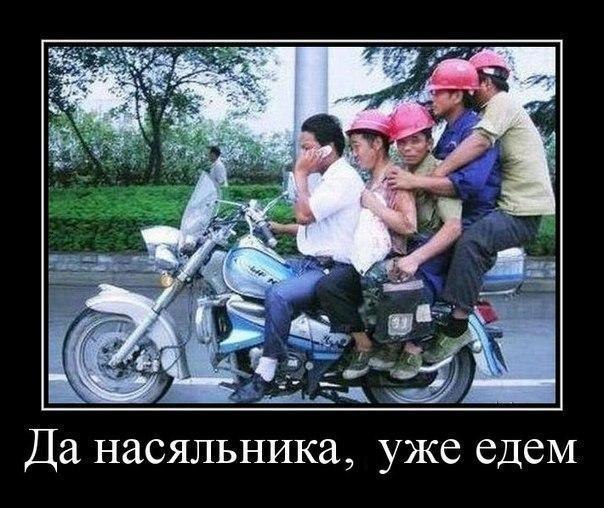 Подборка интересных и веселых картинок