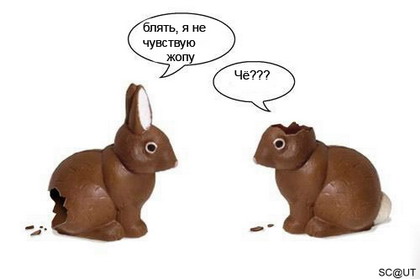 Подборка интересных и веселых картинок