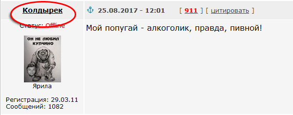 10 мифов о животных, в которые мы до сих пор верим