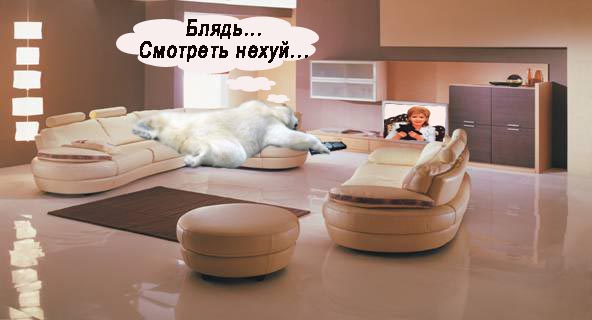 ШОШ так плющит?