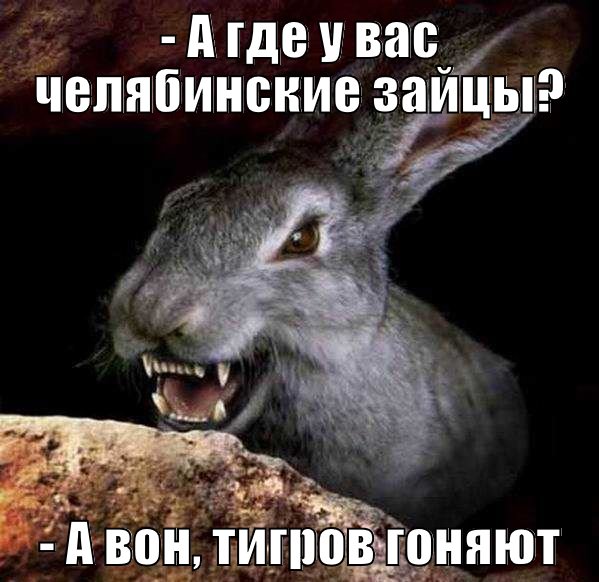 15 картинок с надписями на разные темы