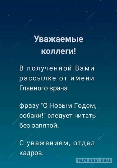 Смешные комментарии из социальных сетей 22.12.2017