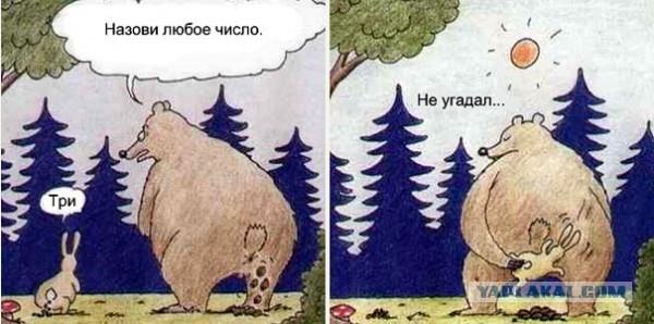 Как грамотно покакать в лесу