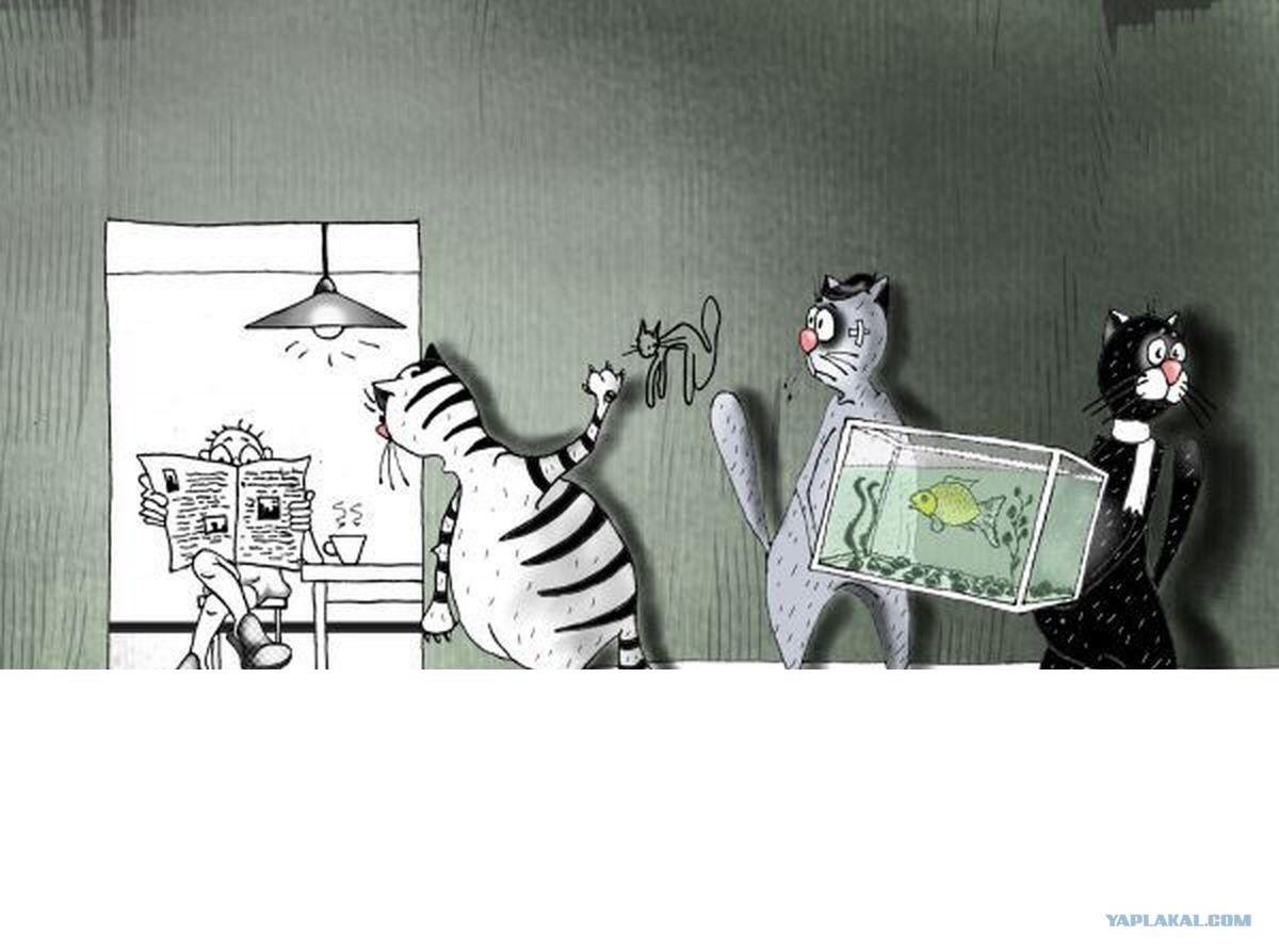 Карикатура кот с перевязанной