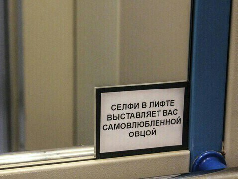 Чудеса рядом