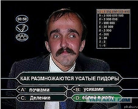 Queen без Меркьюри