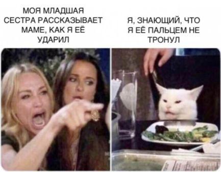 Мем "женщина кричит на кота" и его варианты
