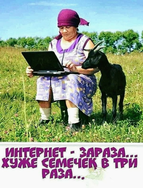 Картинки и мемы для настроения