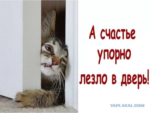Фура разгоняет бастующих таксистов, которые пытаются заблокировать дорогу