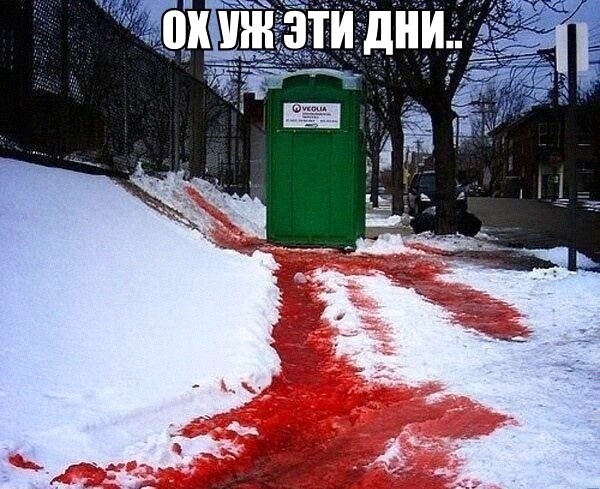 Так себе картинки 20.02.22