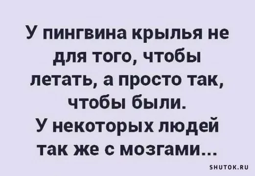 Разумный предел алиментов.