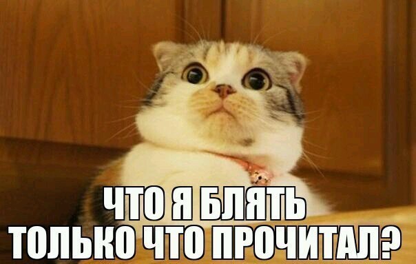 Ну, блин, начали за здравие, а кончили за упокой...