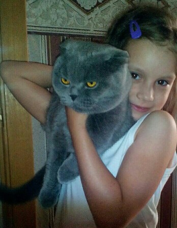 Дерзкий кот у ветеринара