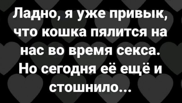 Не очень адекватный юмор