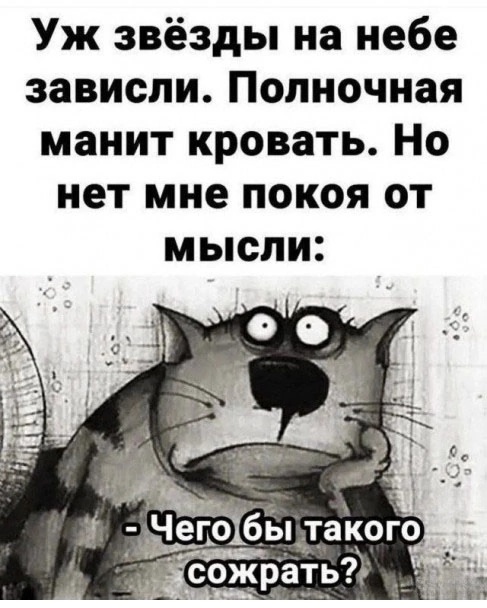 Так себе картинки 29.12.24